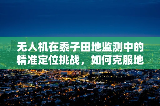 无人机在黍子田地监测中的精准定位挑战，如何克服地形复杂性的影响？