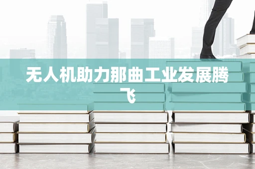 无人机助力那曲工业发展腾飞