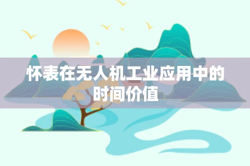 怀表在无人机工业应用中的时间价值