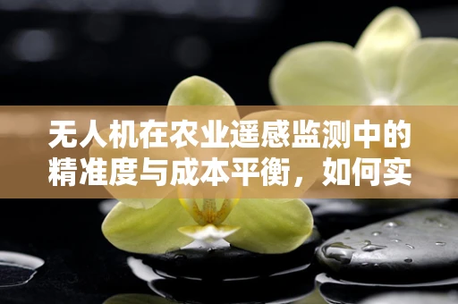 无人机在农业遥感监测中的精准度与成本平衡，如何实现最优解？