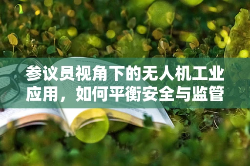 参议员视角下的无人机工业应用，如何平衡安全与监管？
