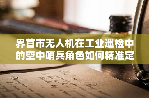 界首市无人机在工业巡检中的空中哨兵角色如何精准定位？