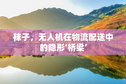 袜子，无人机在物流配送中的隐形‘桥梁’
