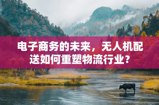 电子商务的未来，无人机配送如何重塑物流行业？