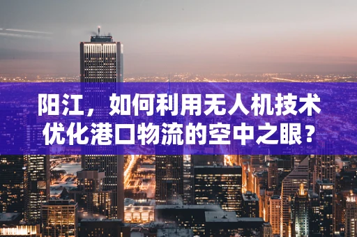 阳江，如何利用无人机技术优化港口物流的空中之眼？