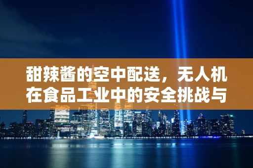 甜辣酱的空中配送，无人机在食品工业中的安全挑战与解决方案？