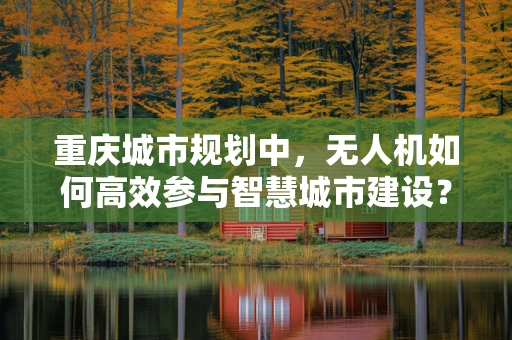 重庆城市规划中，无人机如何高效参与智慧城市建设？