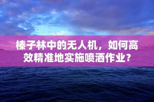 榛子林中的无人机，如何高效精准地实施喷洒作业？