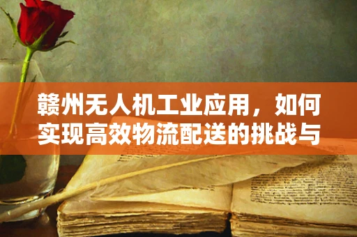 赣州无人机工业应用，如何实现高效物流配送的挑战与机遇？