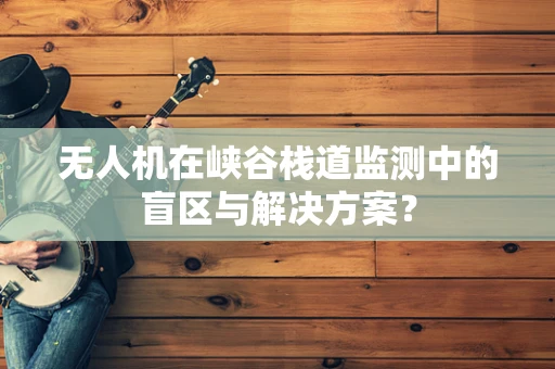 无人机在峡谷栈道监测中的盲区与解决方案？