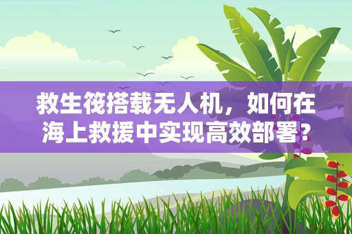 救生筏搭载无人机，如何在海上救援中实现高效部署？