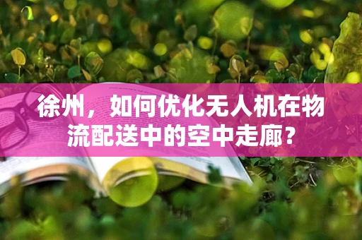 徐州，如何优化无人机在物流配送中的空中走廊？