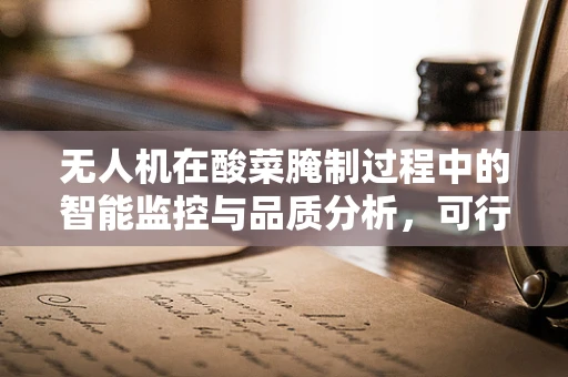 无人机在酸菜腌制过程中的智能监控与品质分析，可行性与挑战？