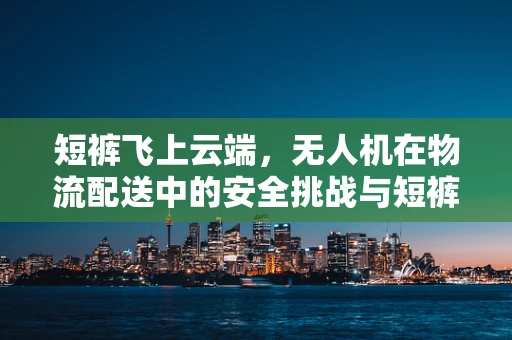 短裤飞上云端，无人机在物流配送中的安全挑战与短裤效应
