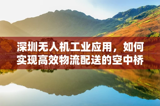 深圳无人机工业应用，如何实现高效物流配送的空中桥梁？