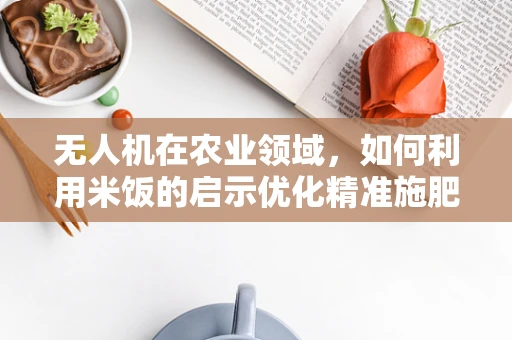 无人机在农业领域，如何利用米饭的启示优化精准施肥？