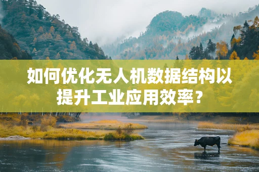 如何优化无人机数据结构以提升工业应用效率？