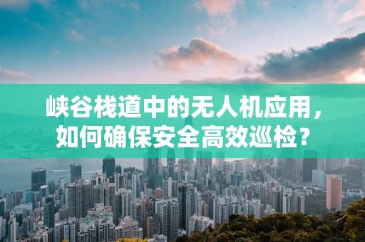 峡谷栈道中的无人机应用，如何确保安全高效巡检？