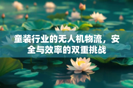 童装行业的无人机物流，安全与效率的双重挑战