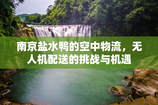 南京盐水鸭的空中物流，无人机配送的挑战与机遇