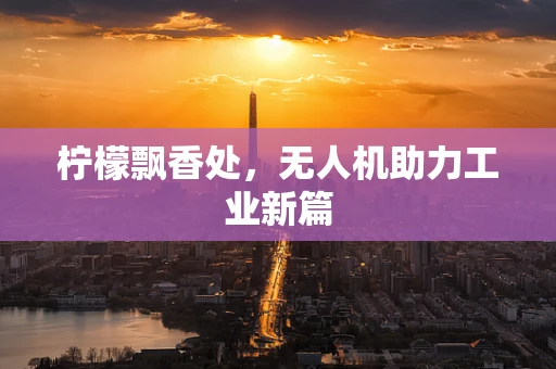 柠檬飘香处，无人机助力工业新篇