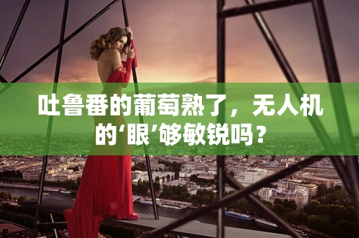 吐鲁番的葡萄熟了，无人机的‘眼’够敏锐吗？