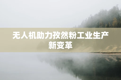 无人机助力孜然粉工业生产新变革