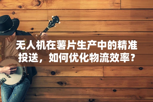 无人机在薯片生产中的精准投送，如何优化物流效率？