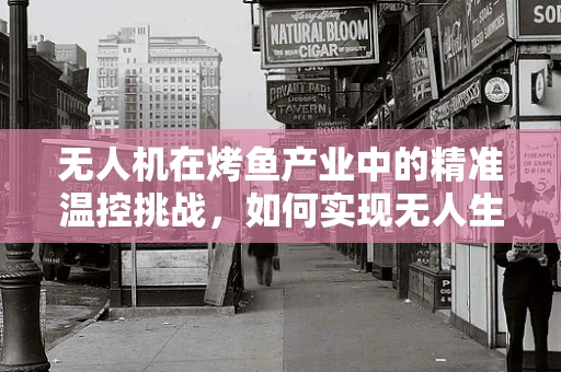 无人机在烤鱼产业中的精准温控挑战，如何实现无人生火，美味依旧？