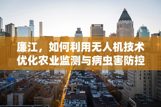 廉江，如何利用无人机技术优化农业监测与病虫害防控？