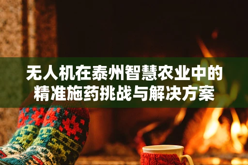 无人机在泰州智慧农业中的精准施药挑战与解决方案