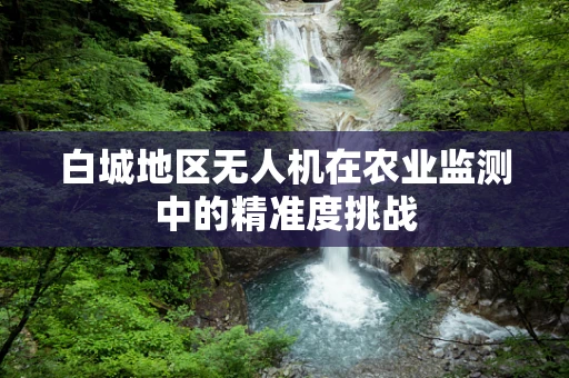 白城地区无人机在农业监测中的精准度挑战