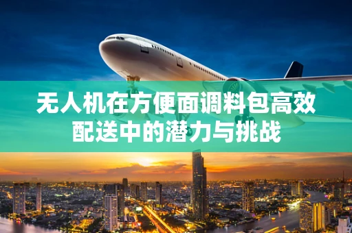 无人机在方便面调料包高效配送中的潜力与挑战