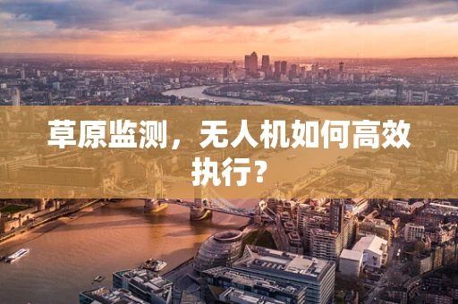 草原监测，无人机如何高效执行？
