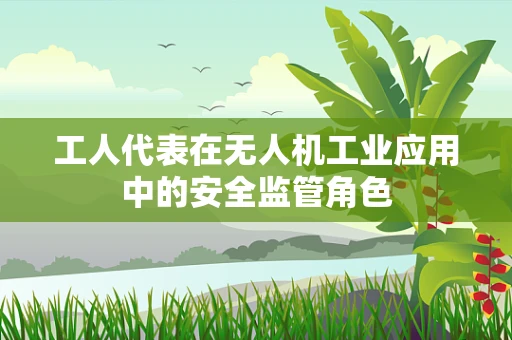 工人代表在无人机工业应用中的安全监管角色