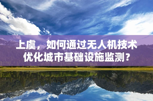 上虞，如何通过无人机技术优化城市基础设施监测？