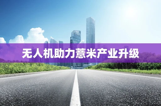 无人机助力薏米产业升级