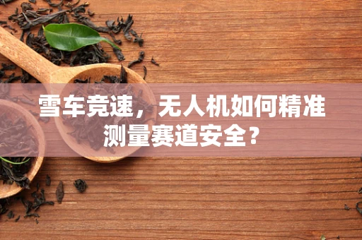 雪车竞速，无人机如何精准测量赛道安全？