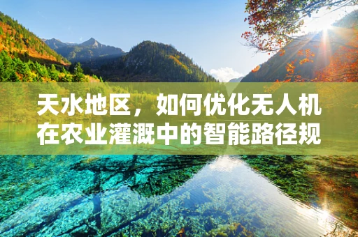 天水地区，如何优化无人机在农业灌溉中的智能路径规划？