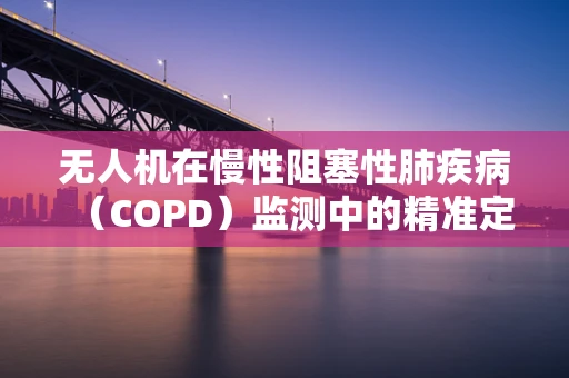 无人机在慢性阻塞性肺疾病（COPD）监测中的精准定位挑战
