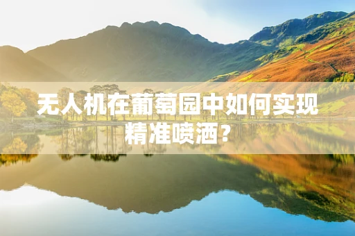 无人机在葡萄园中如何实现精准喷洒？