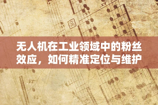 无人机在工业领域中的粉丝效应，如何精准定位与维护？