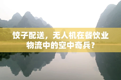 饺子配送，无人机在餐饮业物流中的空中奇兵？