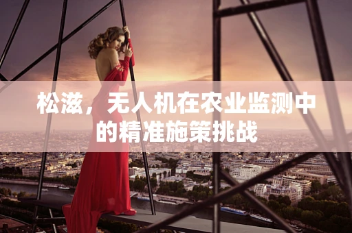 松滋，无人机在农业监测中的精准施策挑战