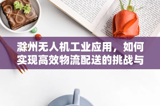 滁州无人机工业应用，如何实现高效物流配送的挑战与解决方案？