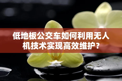 低地板公交车如何利用无人机技术实现高效维护？
