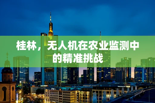 桂林，无人机在农业监测中的精准挑战