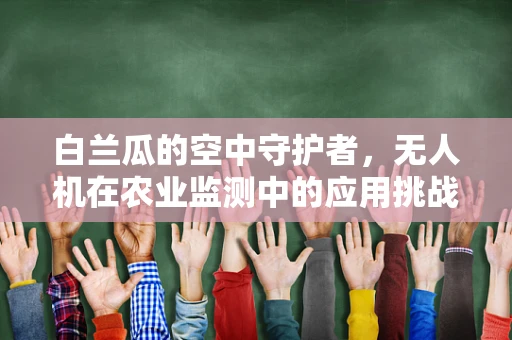 白兰瓜的空中守护者，无人机在农业监测中的应用挑战