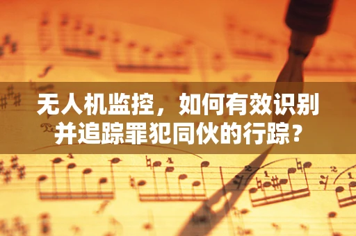 无人机监控，如何有效识别并追踪罪犯同伙的行踪？