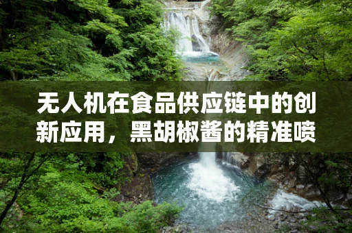 无人机在食品供应链中的创新应用，黑胡椒酱的精准喷洒挑战